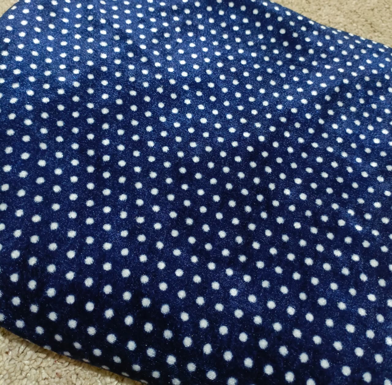 Velvet in Polka suit