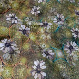 Bareeza Style Chicken Kari Unstitched Shirt